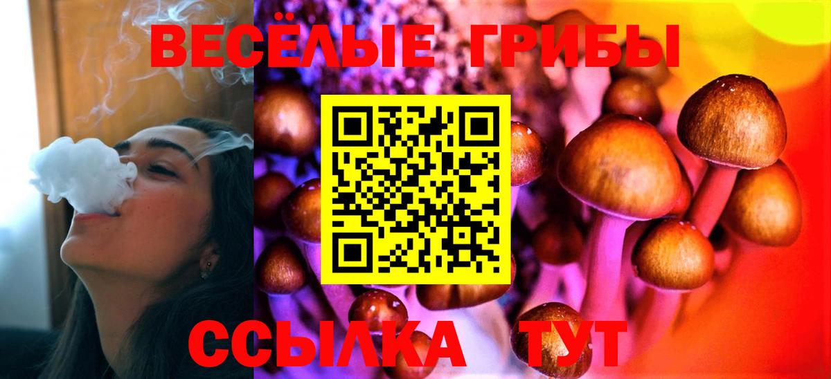 Галлюциногенные грибы MAGIC MUSHROOMS  Вход с VPN  Тольятти 